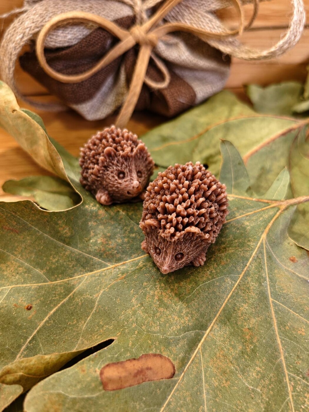 Αρωματικά Κεριά σε καλούπι ¨Autumn Forest" - Image 10